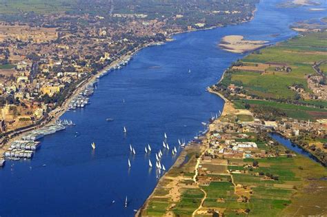 The nile river will lead you to witness the immortal pharaonic civilization in upper egypt. Nile - the longest river in the world | DinoAnimals.com
