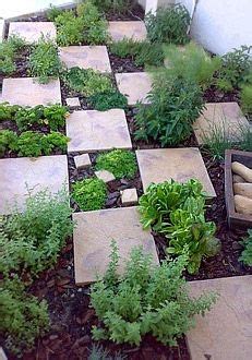 Find the perfect herb garden stock photos and editorial news pictures from getty images. Another checkerboard herb garden; perfect for an atrium. (With images) | Herb garden design ...