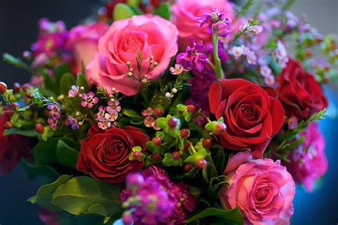 Fonds Decran Roses Bouquets Fleurs Télécharger Photo