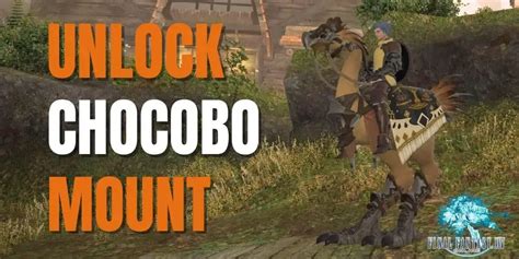Ffxiv A Quick Guide To Chocobo Companion Basics How To Unlock