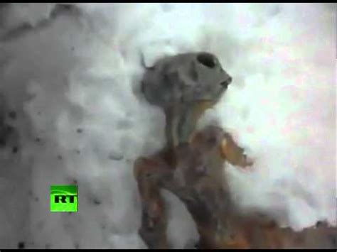 Video Impacto Alien Muerto Tras Estrellarse En Siberia Alerta News