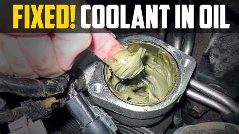 Causes Of Coolant In Oil Beryloco