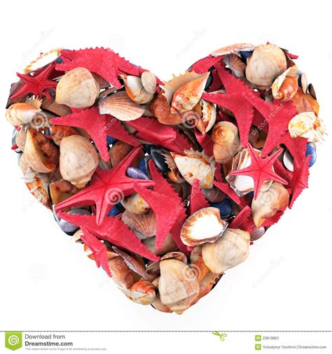 Heart Made Of Sea Shells Stock Image Image 23619801