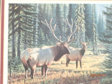 rmef 1996 out of the shadows jim kasper collector signed elk stamp print framed ebay