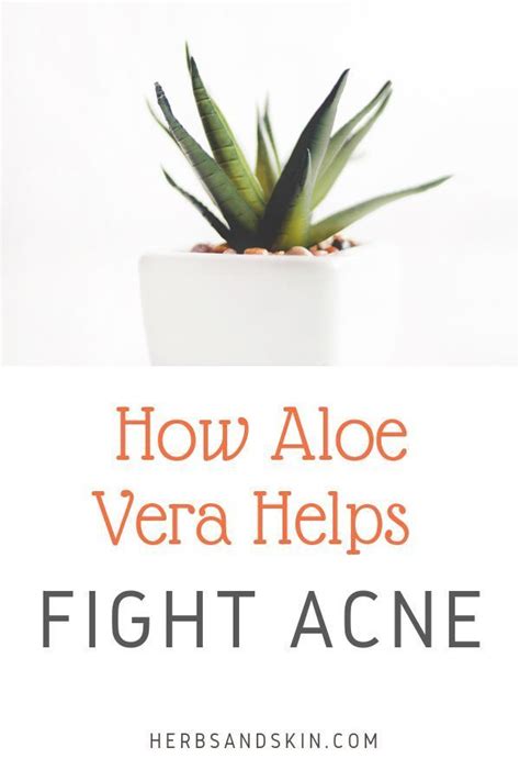 Aloe Vera Fight Acne Fight Acne Fast Fight Acne Naturally Aloe Vera