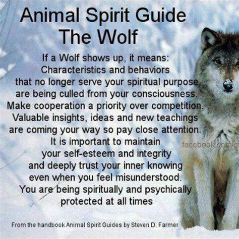 Wolf Spirit Guide Wolves Pinterest