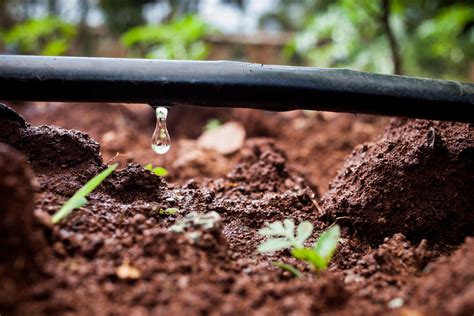 What to know about Commercializing Drip Technology to Smallholders | Agrilinks