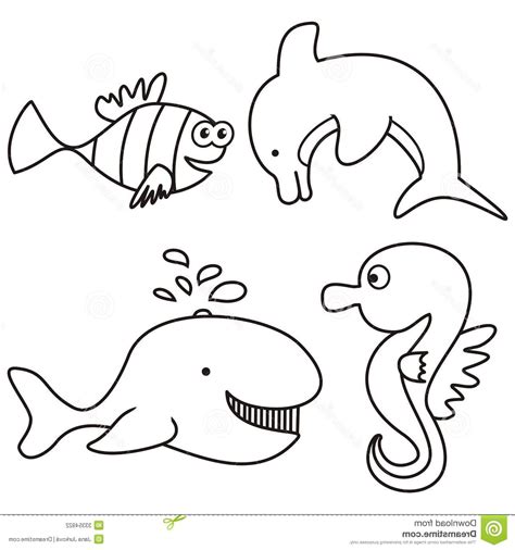 The Best Free Aquatic Drawing Images Download From 183 Free Drawings