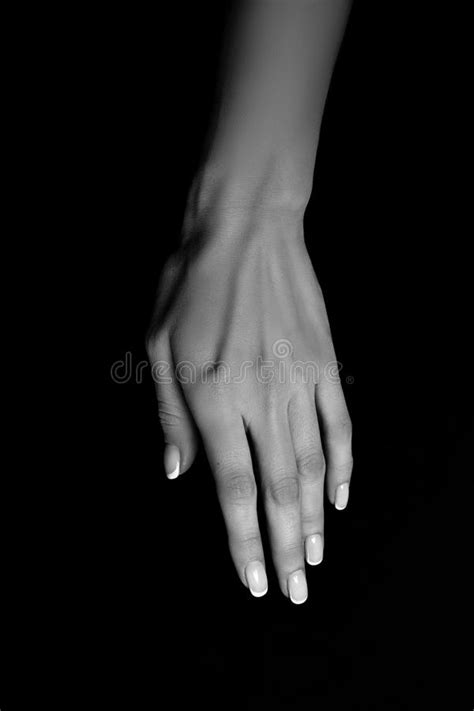 Black And White Hands Art Photography Stock Photo Image Of Gesture