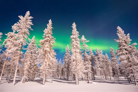 Northern Lights Aurora Borealis In Lapland Finland Travel Inspires