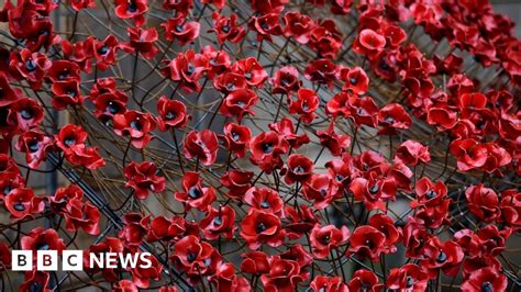 Remembrance Poppy Controversies And How To Wear It Bbc News