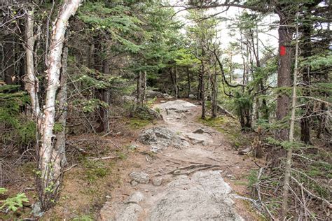Artists Bluff Trail Franconia Notch State Park — Hiking For Donuts