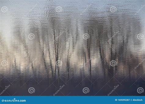 Blurry Dark Water Reflection Of The Bare Trees In A Forest Stock Image