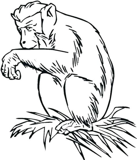 Chimpanzee Coloring Page At Free Printable Colorings