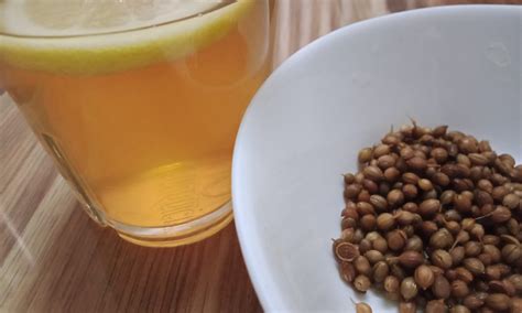 Biji selasih turunkan berat badan. Wanita Ni Kongsi Amalan Minum Air Rebusan Ketumbar Untuk ...