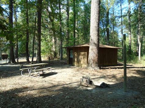 Maybe you would like to learn more about one of these? Martin Dies, Jr. State Park Cabins — Texas Parks ...