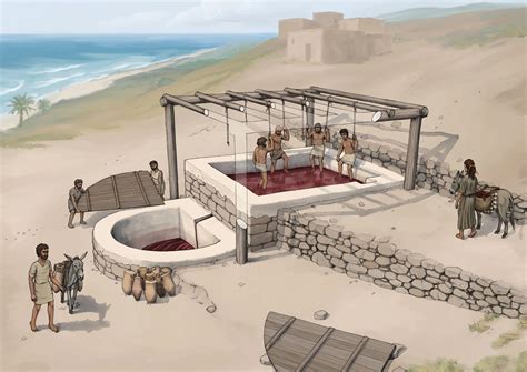 Reconstruction Of The Oldest Phoenician Wine Press In Lebanon 7th