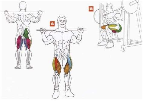 Pin By Chrisvo On Fitness Bodybuilding Workout Routine Humanoid