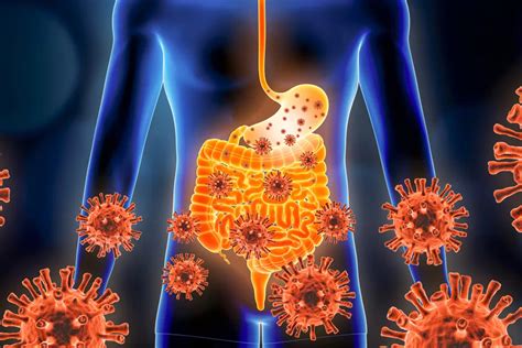 Infections Of The Digestive System Types Symptoms And Treatment