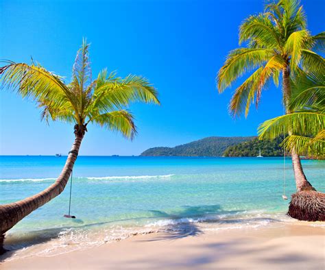 tropical paradise beach coast sea blue emerald ocean palm ... Unsplash has the perfect desktop wallpaper for you.