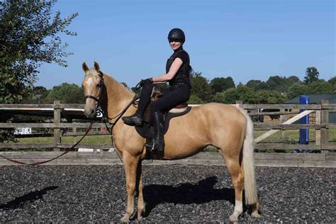 Side Saddle Riding Carolines Horse Training