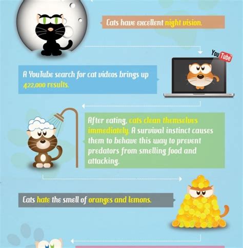 Fun Cat Facts Infographic