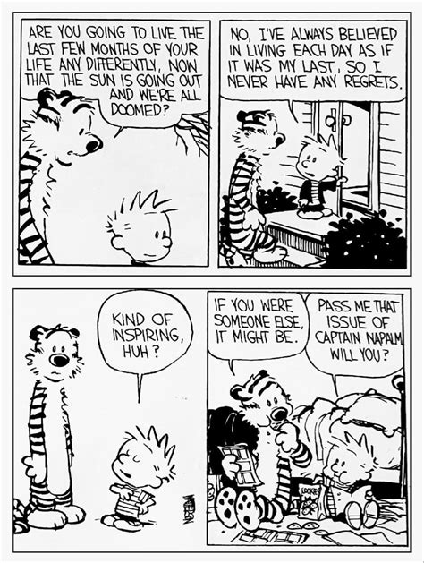 pin by fugly on calvin and hobbes in 2023 calvin and hobbes comics calvin and hobbes comic