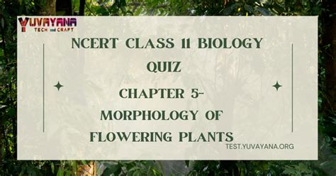 Ncert Class 11 Biology Chapter 5 Mcq Quiz With Answers Morphology Of