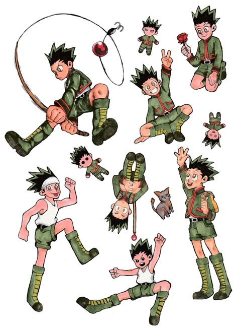 Transformation de gon | vo vs vf. Gon Chan Protection Alliance