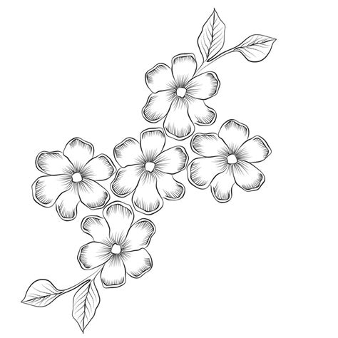 Free Vector Line Art And Hand Drawing Flower Art Black And White Flat