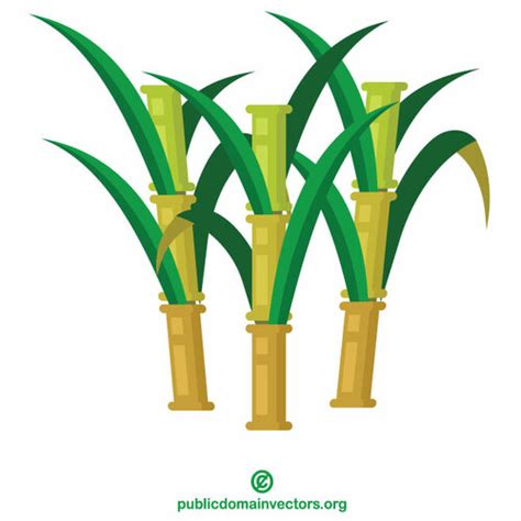 Sugar Cane Public Domain Vectors