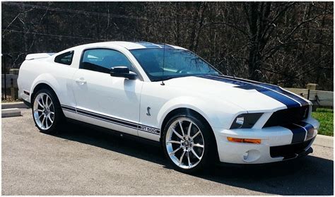 2007 Ford Shelby Gt500 Pictures Cargurus