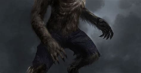 Werewolflycanthrope European Folklore A Human With The Ability To