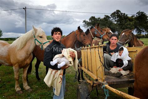 Images Of Portugal Gypsy Horse Trader Viana Do Alentejo Portugal