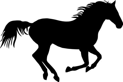 Silueta De Caballo Png Imagenes Gratis 2023 Png Universe Porn Sex Picture