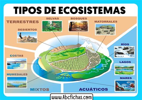 Tipos De Ecosistemas Clasificaci N Y Definici N De Las Clases Tipos