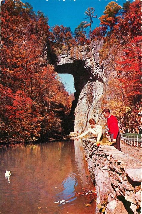 Natural Bridge Off Lee Highway Us 11 Virgina Va Autumn Scene 1950s