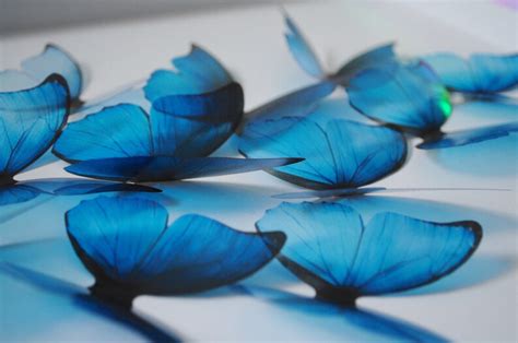 Blue Rainbow Butterflies 3d Acetate Butterfly Ombre Blue Etsy