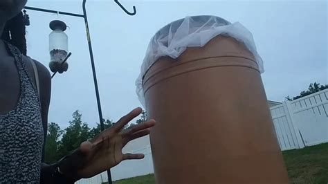 Storing rainwater also aids in the reduction of installing a pump on a small rain barrel would be impractical, as the flow rate would drain the barrel in minutes. Drip irrigation from a rain barrel - YouTube