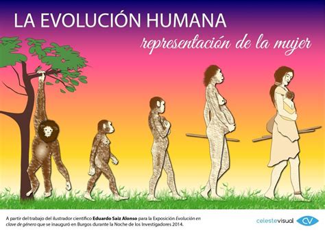 La Evoluci N Humana Representaci N De La Mujer Evoluci N