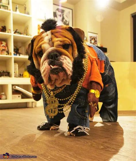 90 Rapper Dog Names The Paws