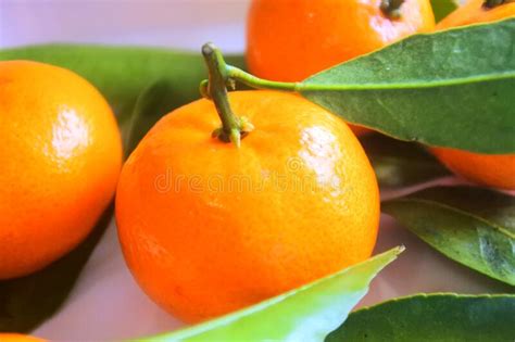 Mandarin Oranges Are One Of The Most Popular Oranges Consumed In