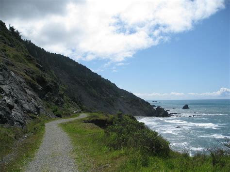 California Coastal Trail Redwood National Park All You Need To Know