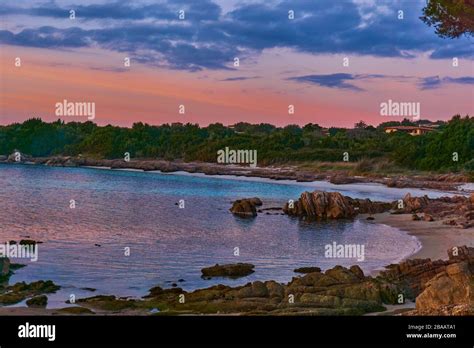 Sardinian tree that bends but doesnt break hi-res stock photography and