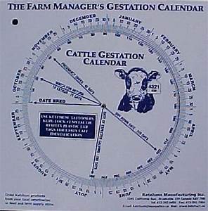 Sheep Gestation Calendar Calculate Birth Business Industrial