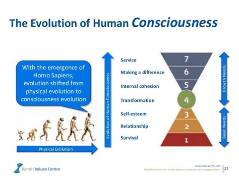 7 Levels Of Consciousness By Dr Jan Anderson