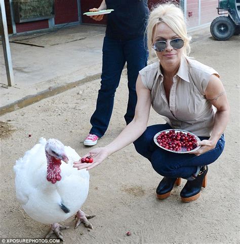 Thanksgiving 2012 Pamela Anderson Promotes Feeding Not Eating