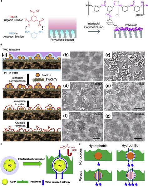 Recent Progress In Nanomaterial Functionalized Membranes For Removal Of