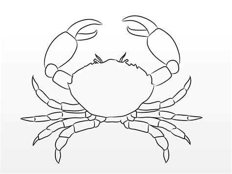 Comment Dessiner Un Crabe 10 étapes Avec Images