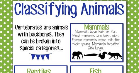 Magic And Markers Classifying Animals